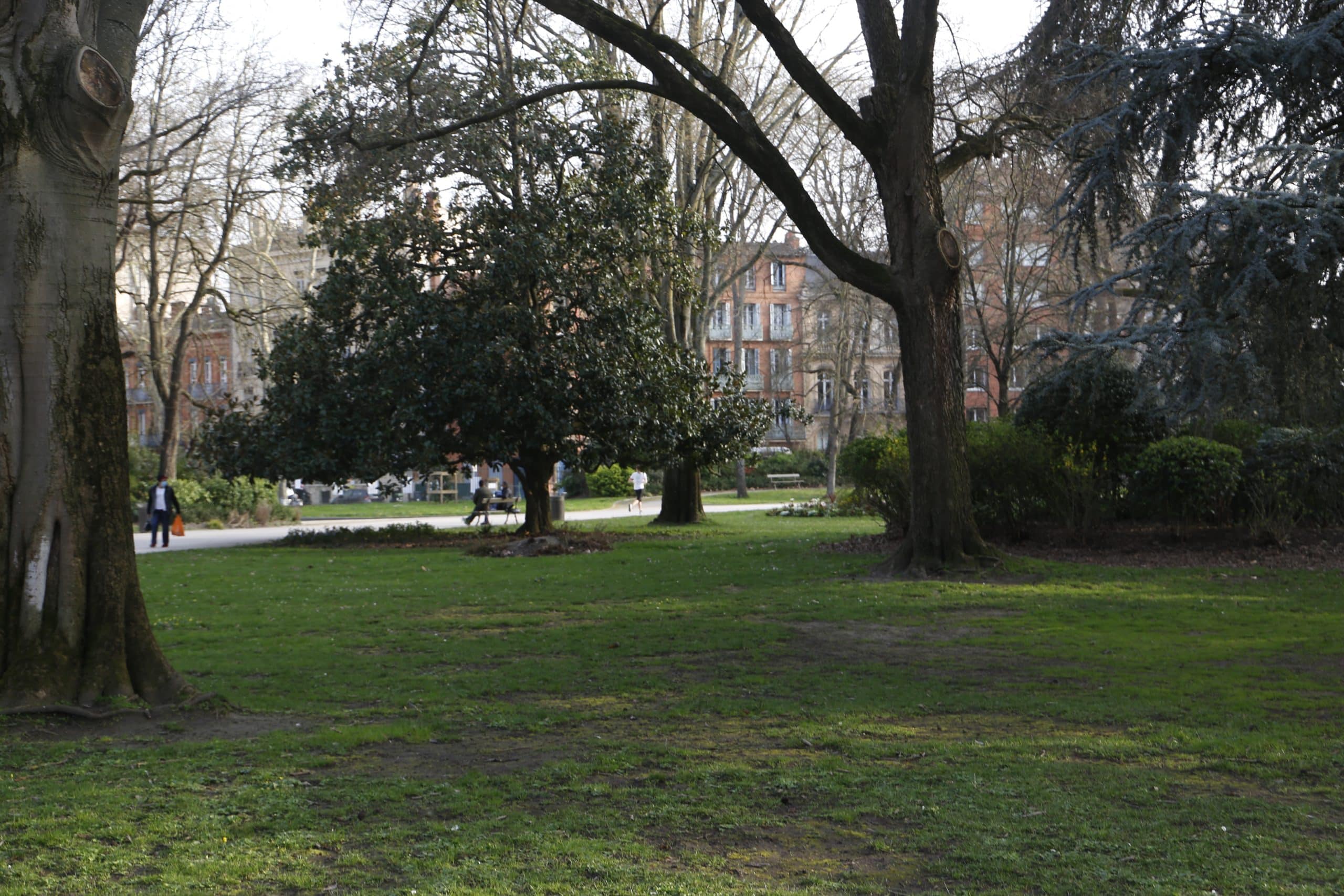 Jardin du grand rond Toulouse arbres