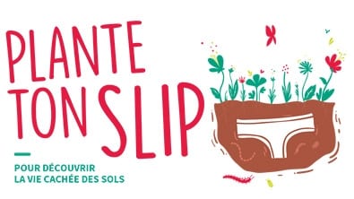 plante-ton-slip-visuel