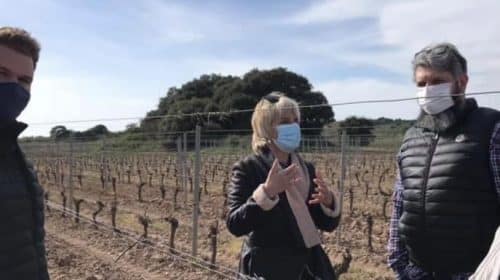 Hélène Sandragné, présidente du département de l'Aude, annonce une aide d'1,2 millions d'euros pour les agriculteurs victimes du gel © Département de l'Aude