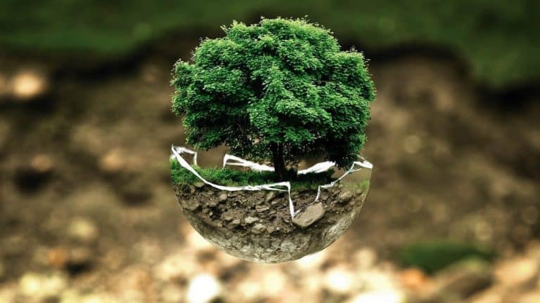 Guide pratique : comment réduire ses factures… et son impact environnemental Guide pratique : comment réduire ses factures… et son impact environnemental