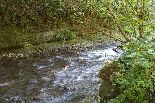 La préfet du Lot a levé, ce mercredi 30 juin, les mesures de limitation des usages de l’eau encore en vigueur dans le département @Fanny Schertzer CC-BY 2.5