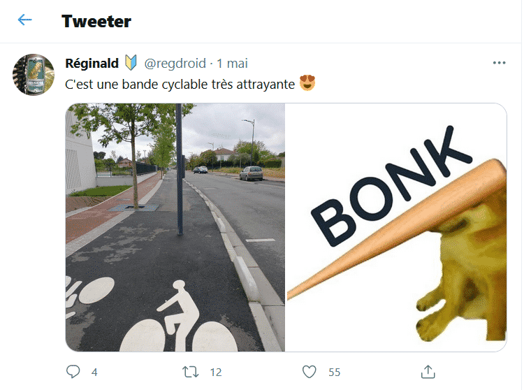 Feu tricolore sur piste cyclable © Twitter