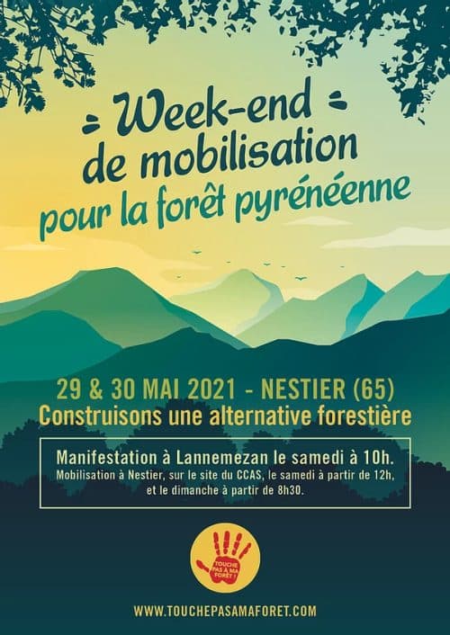 Le collectif Touche pas à ma forêt organise un week-end de mobilisation contre le projet de méga-scierie de Lannemezan