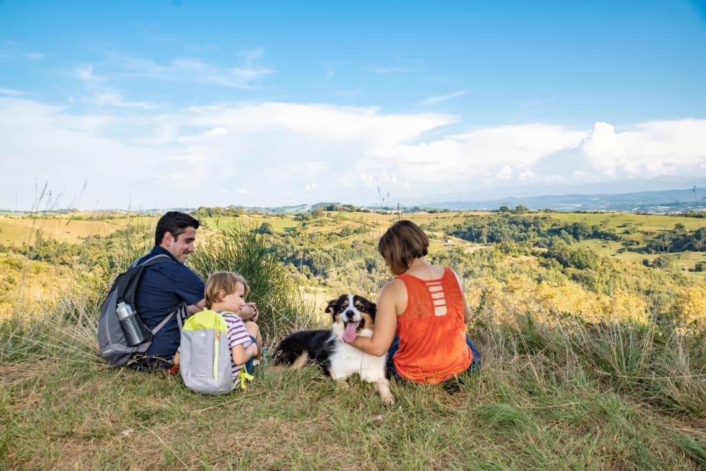 En juillet et août, le secteur du tourisme en Occitanie a enregistré un record de fréquentation : le nombre de nuitées est en hausse de 11% par rapport à 2019