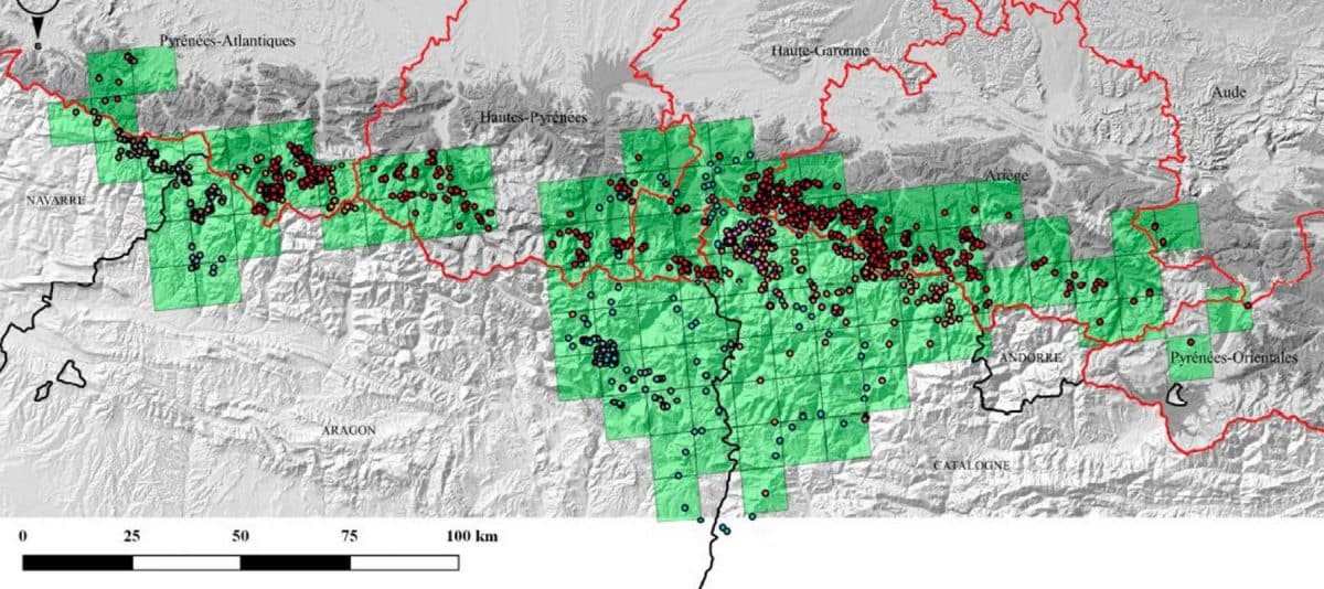 répartition ours brun pyrénées