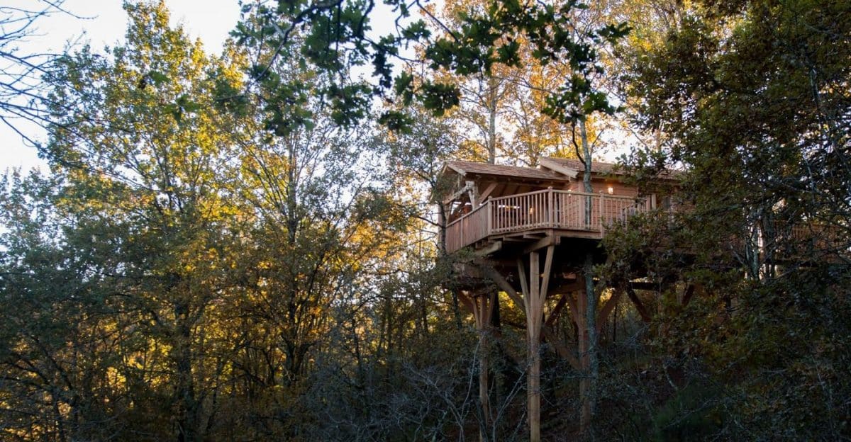 arbres-chalet-occitanie