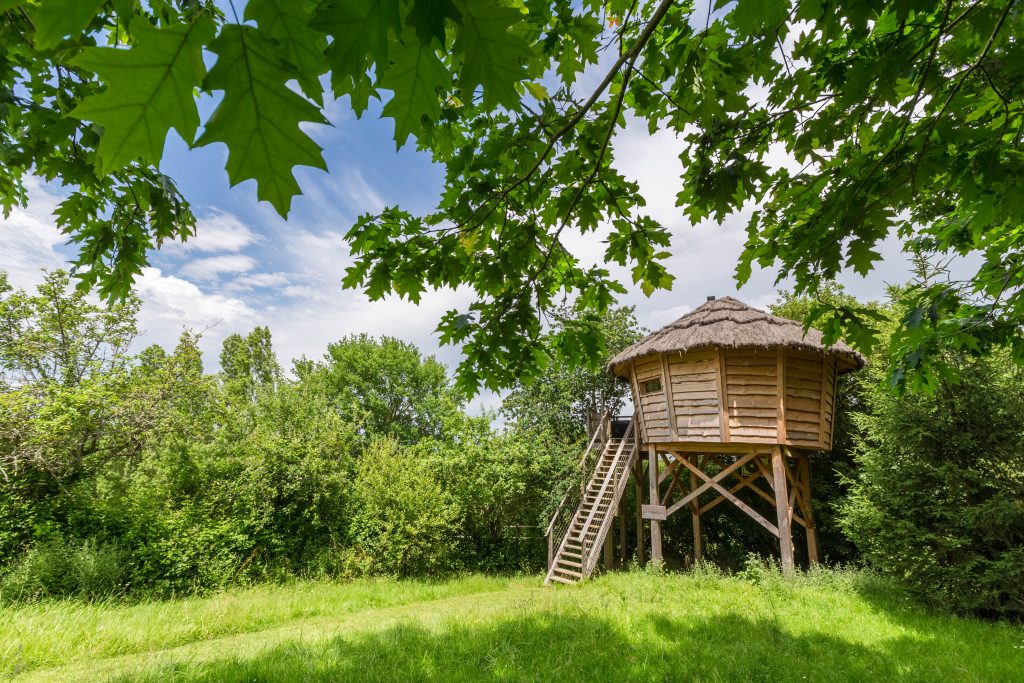 palombiere-nature-insolite-occitanie-hebergement