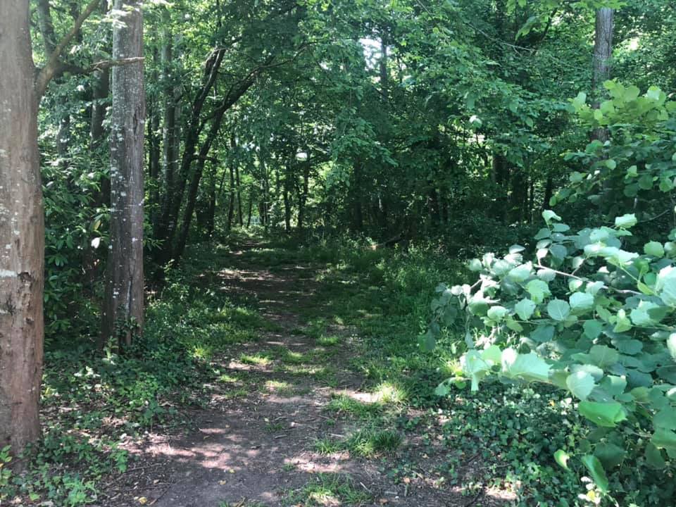 Les élus du Conseil départemental de la Haute-Garonne ont classé Espace naturel sensible le Parc de Ranse, sur la commune de Lévignac-sur-Save @Frédéric Lahache-Mairie de Lévignac