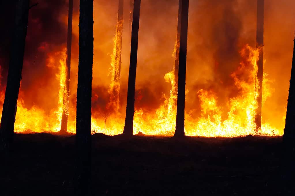 Vigilance rouge incendie Montpellier