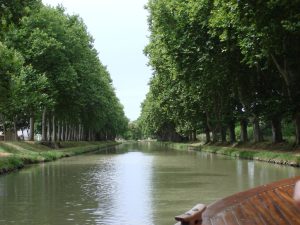 Une fresque sera dessinée le long du canal du midi sur le mur de la trémie du pont Guilheméry, la mairie de Toulouse a lancé un appel à projets en ce sens.