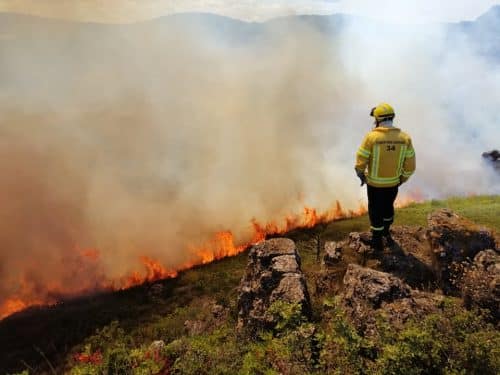 feu-herault-forestiers-sapeurs