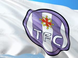 Le TFC s'est imposé au Stadium de Toulouse face à Bastia samedi 14 août. / CC jorono / pixabay