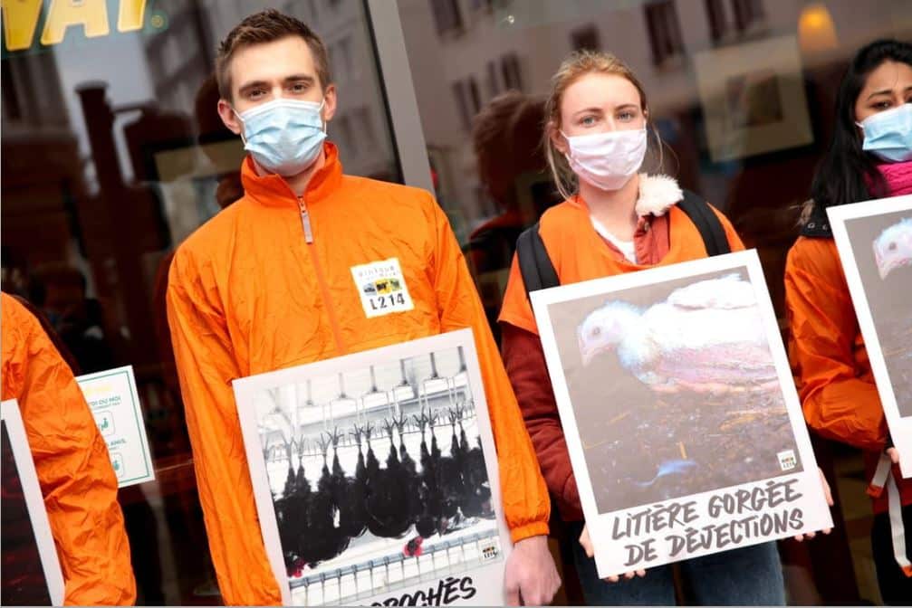 L’association L214 organisera une manifestation en forme de happening, ce samedi 16 octobre, devant le Burger King du centre-ville de Toulouse