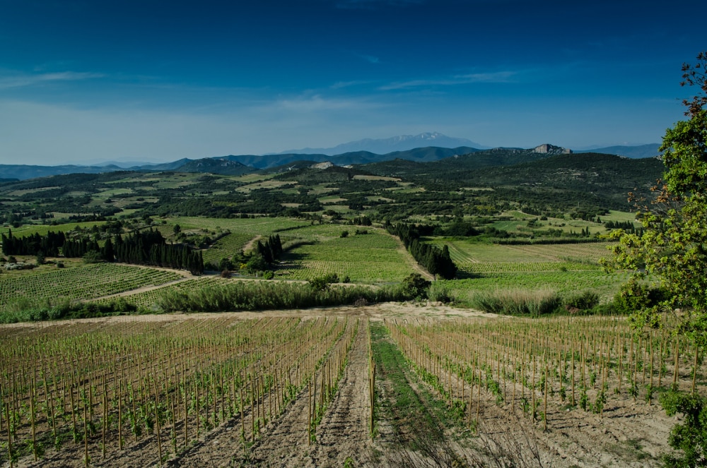 Aude Pyrénées-Orientales Parc Naturel Régional