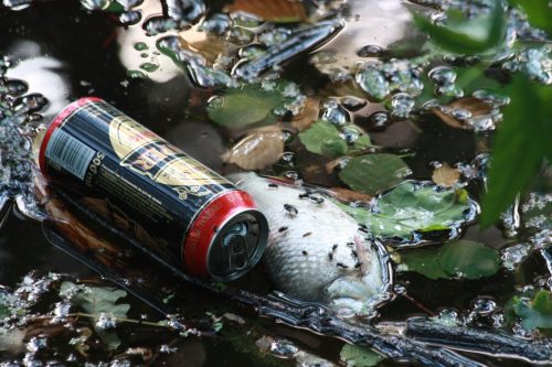 Le dysfonctionnement de la station d'épuration des Argoulets a causé une importante pollution de l'Hers