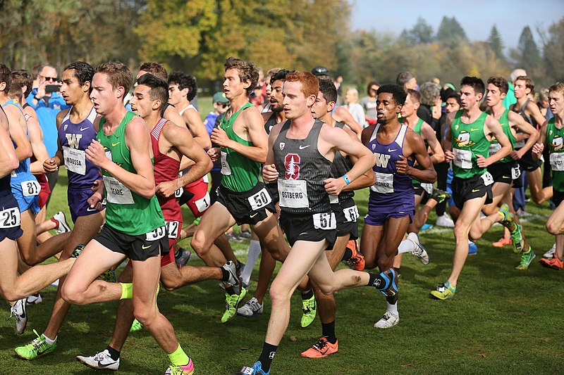 Tarn-et-Garonne championnat cross-country