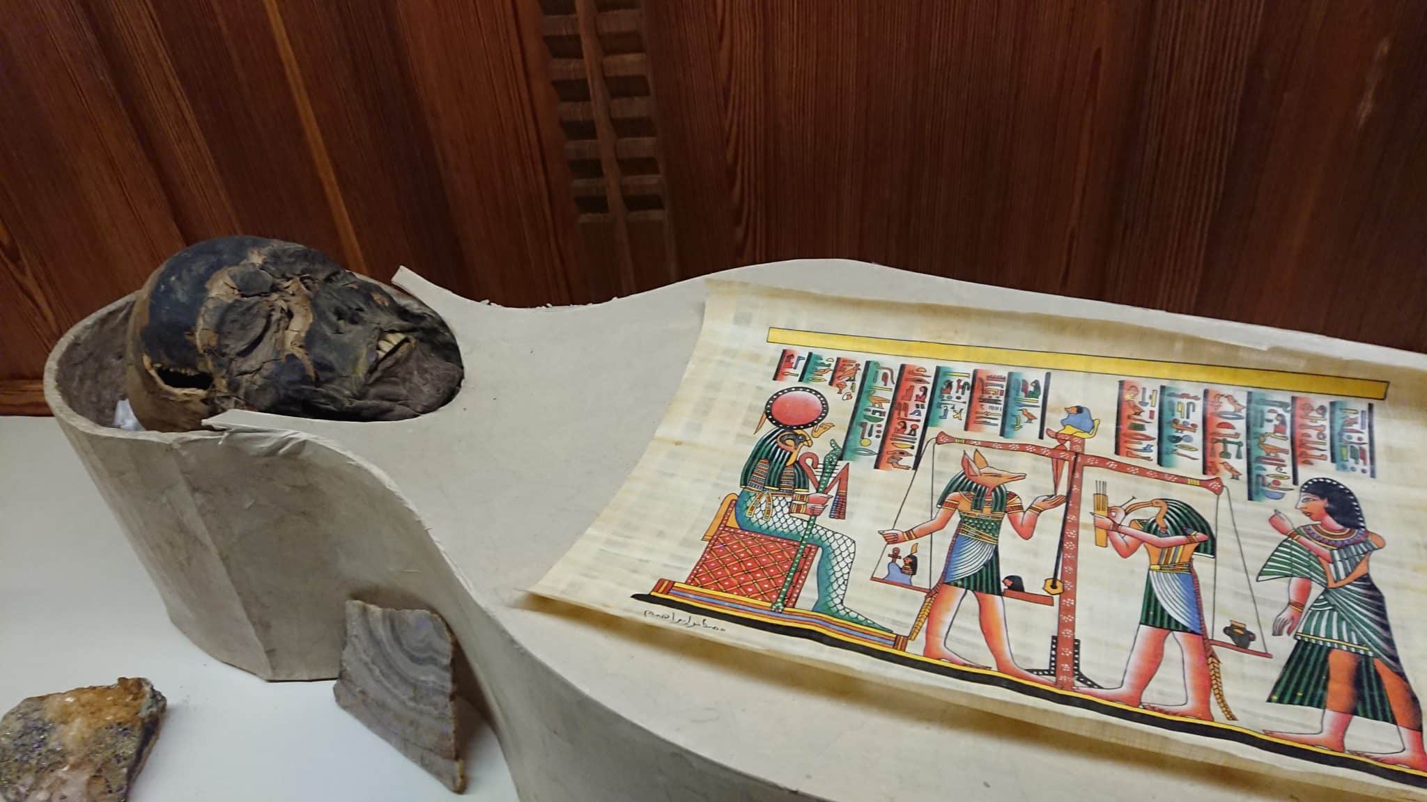 momie égyptienne du musée de Gaillac