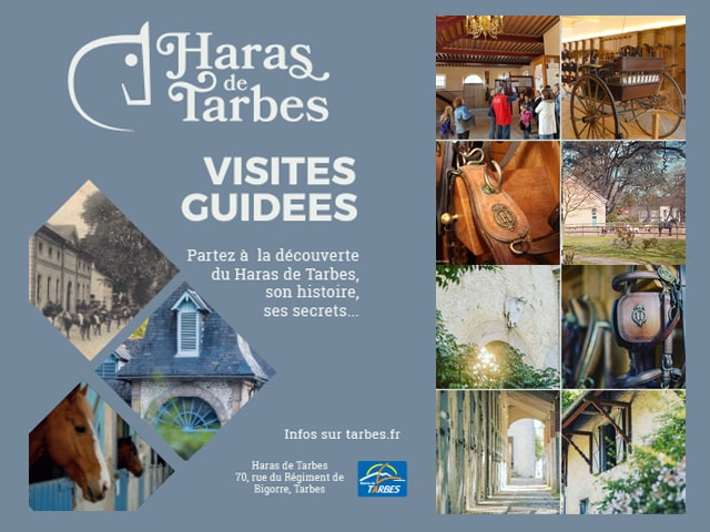 Haras Tarbes Haute-Pyrénées
