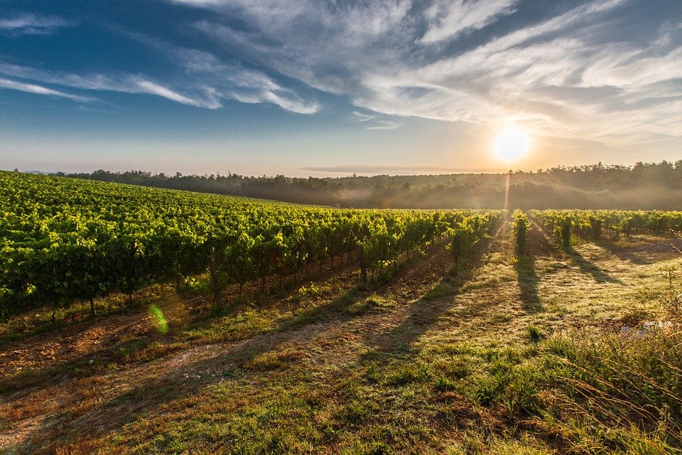 agriculture occitanie