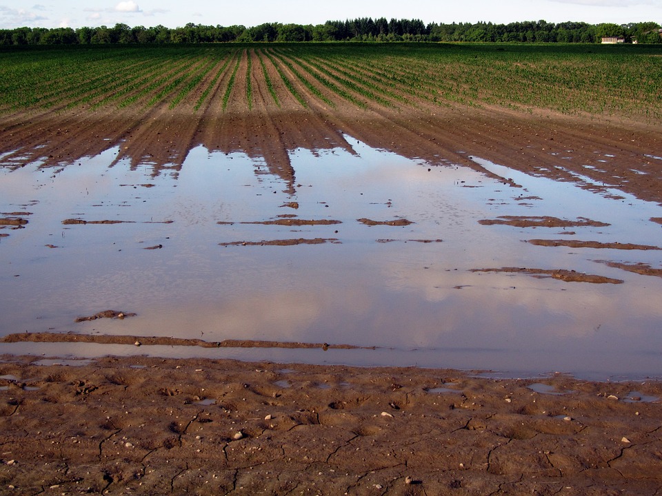 Tarn inondations calamité agricole