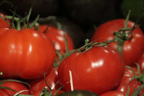 Etalage de Tomates