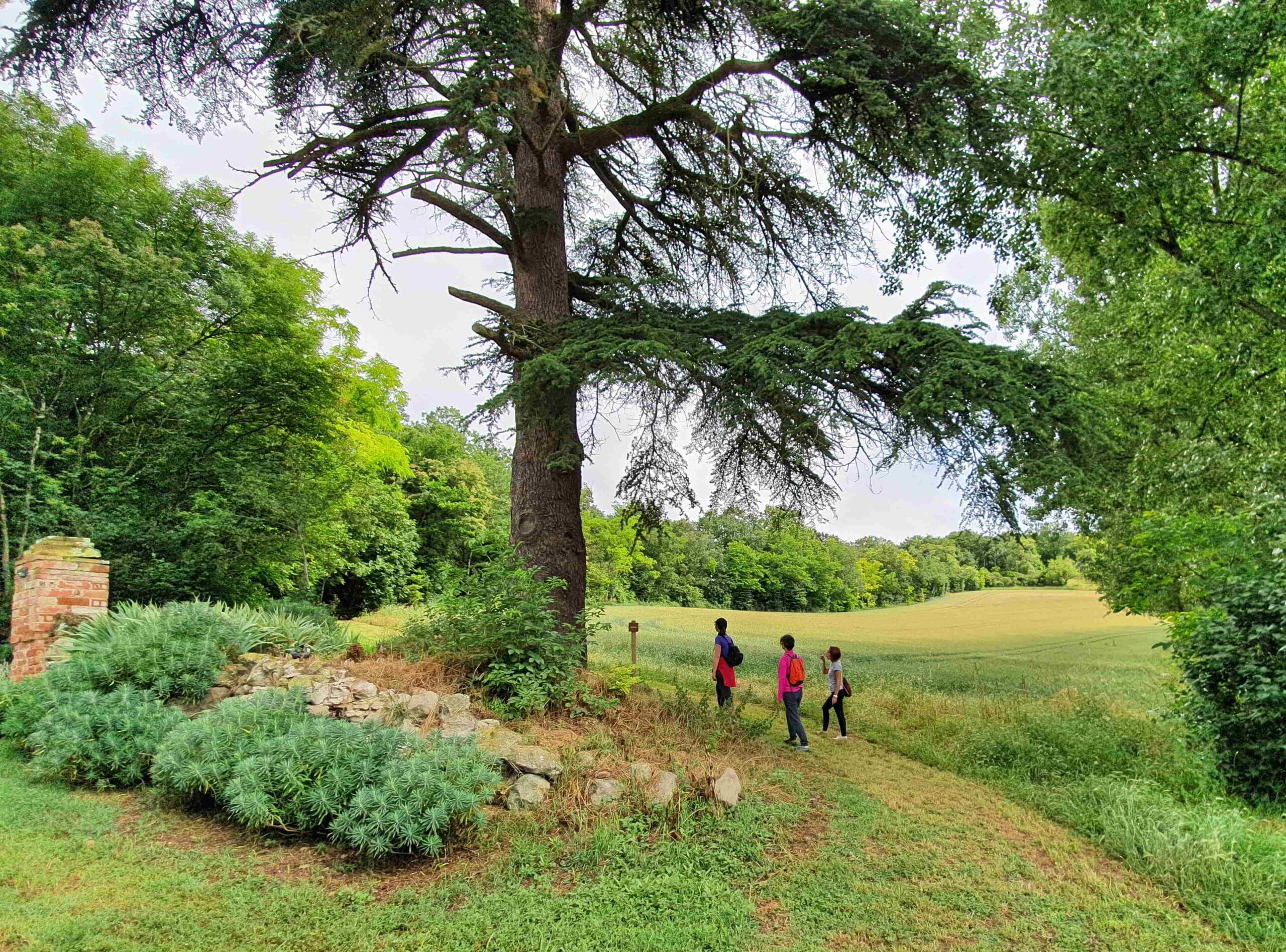 randonnée nature marche balade vacances Pâques Haute-Garonne