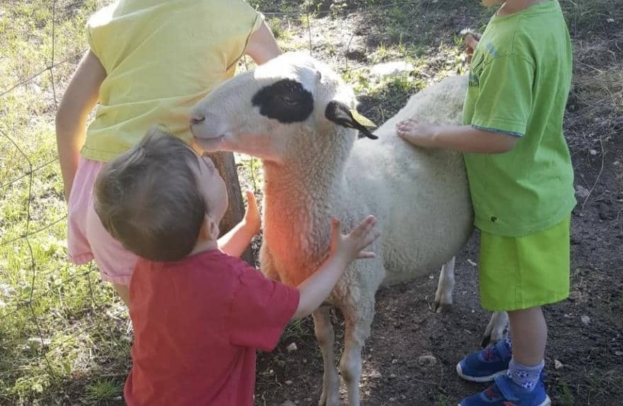 ferme enfant animaux vacances Pâques Lot