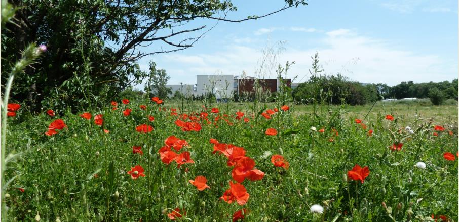 ferme urbaine des Pradettes Toulouse