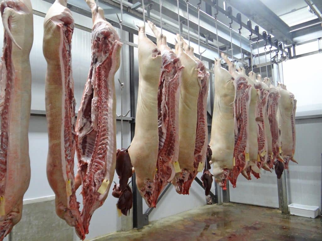 abattoir Carmaux