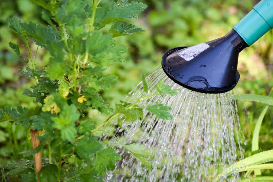 Tarn-et-Garonne arroser eau plante espaces verts sécheresse restrictions usage Gard