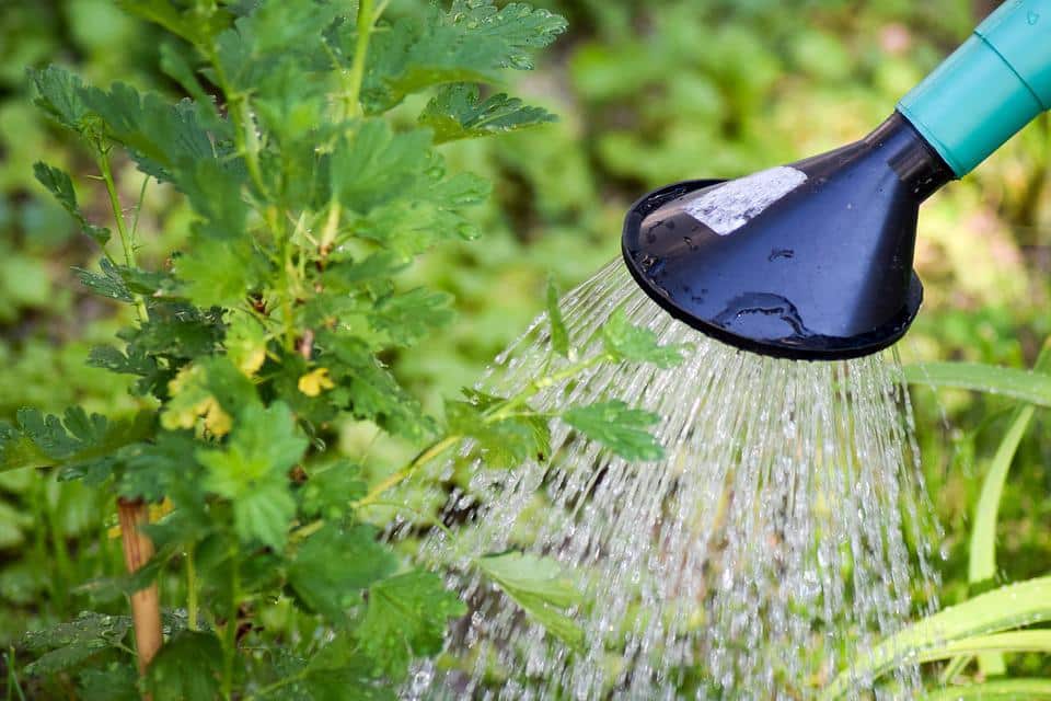 Tarn-et-Garonne arroser eau plante espaces verts sécheresse restrictions usages Hérault