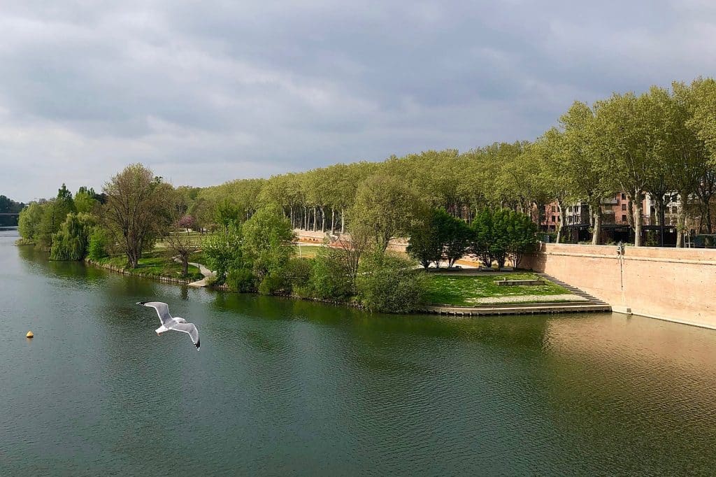 Garonne Toulouse