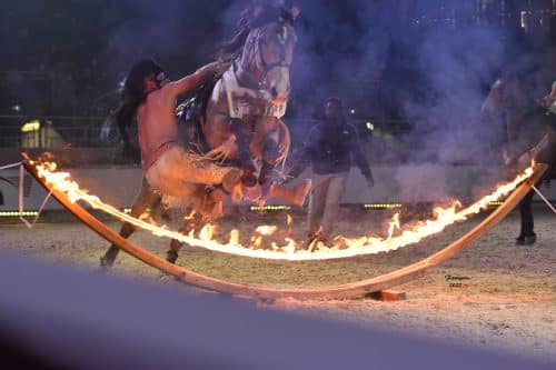 spectacle équestre à Gaillac le 30 juillet 2022