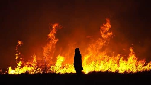 feux forêt incendie flammes arbres