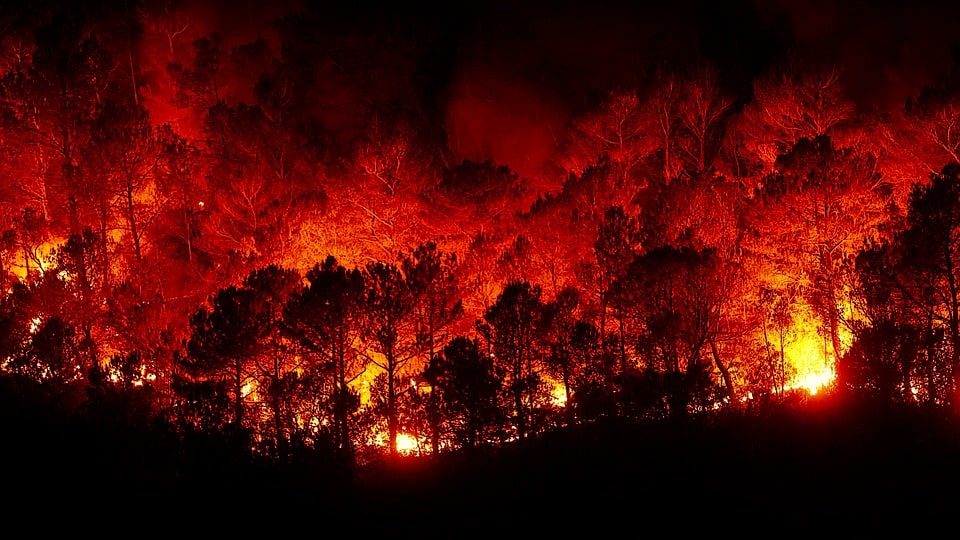 incendie hérault