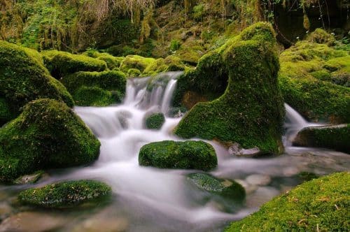 Petite Amazonie Pyrénées