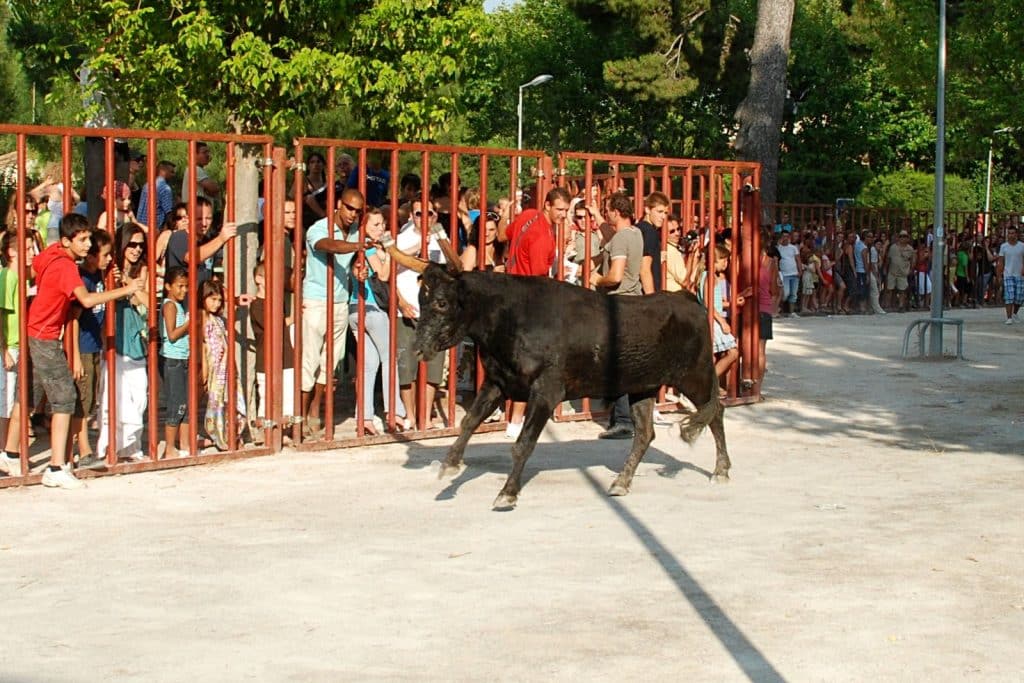 tradition taurine aux fêtes de Nogaro dans le Gers