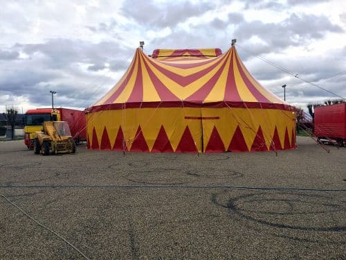 cirque animaux