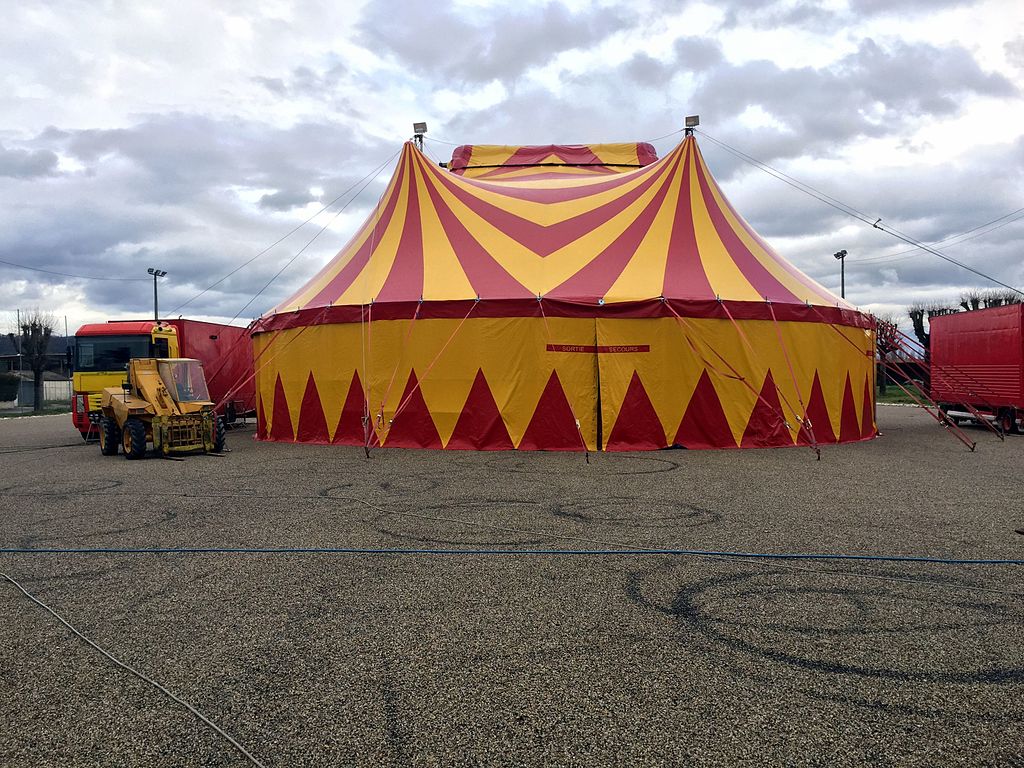 cirque animaux