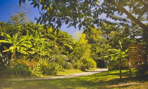 Palmeraie du Sarthou Gers jardins remarquables Occitanie Parcs