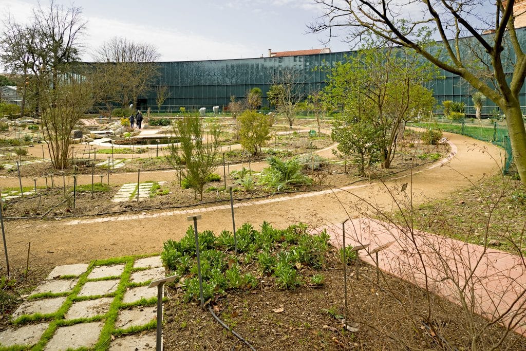 jardin toulouse sécheresse