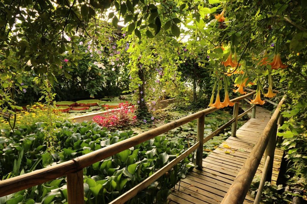 Jardins des Martels Tarn