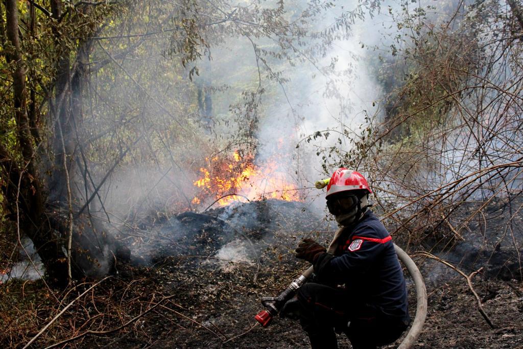 incendie sécheresse