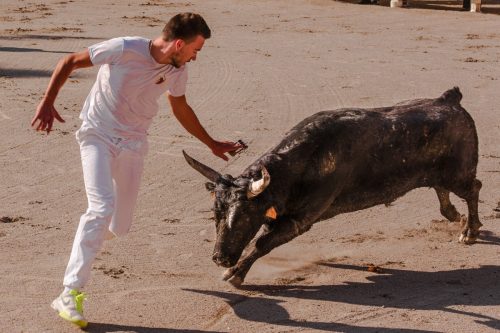 course camarguaise vacances été Hérault arènes taureau