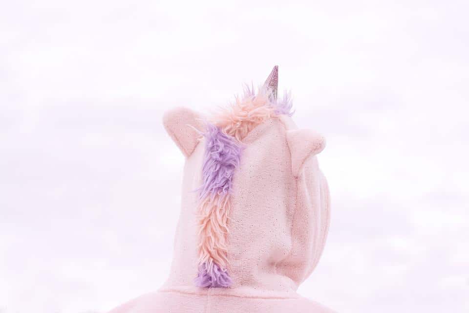 costume déguisement licorne