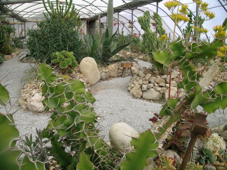 Cactuseraie d'Escaïre Figue cactus Occitanie jardins