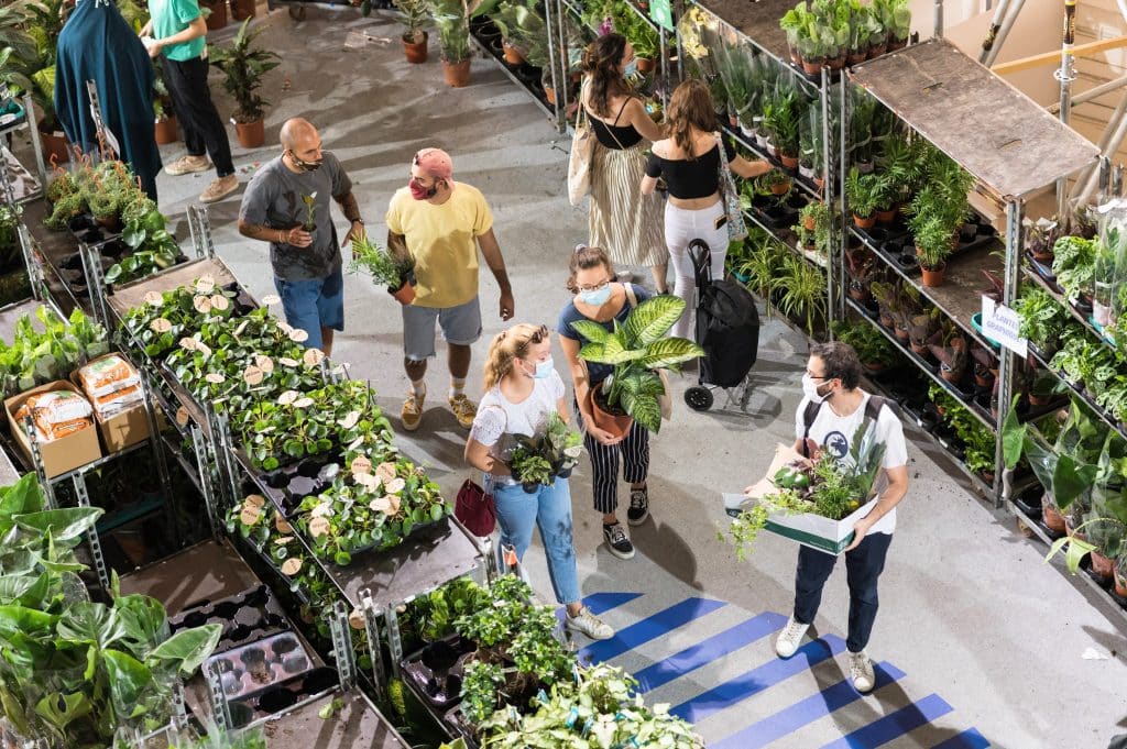 plants for all toulouse