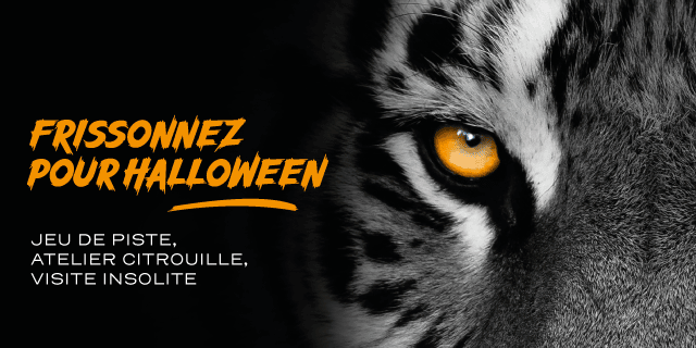 vacances Toussaint Haute-Garonne sorties zoo African Safari