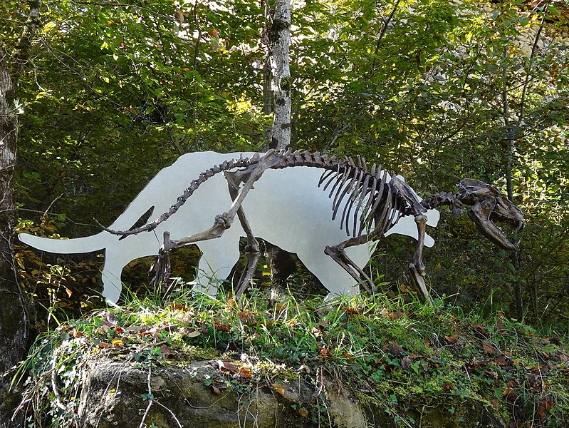 Paléosite de Sansan Amphicyon squelette dinosaure