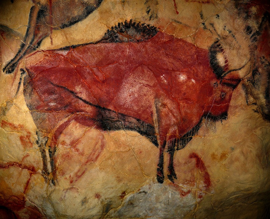bison dessin Préhistoire Homme Néandertal